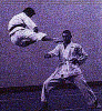 Jumping Side Kick